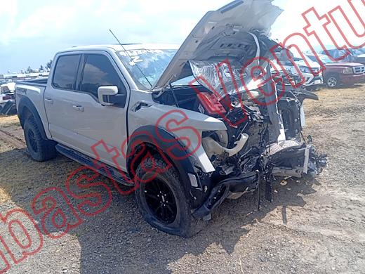FORD LOBO 2024, foto 3 de 19
