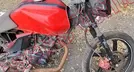 ITALIKA FT150 2021, foto 12 de 19