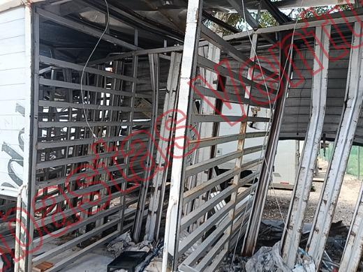 CAJA CAJA REDILAS 2022, foto 16 de 19