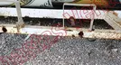 CAJA CAJA REDILAS 2022, foto 19 de 19