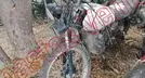 VENTO XPRESS 2023, foto 1 de 19