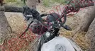 VENTO XPRESS 2023, foto 14 de 19