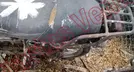 VENTO XPRESS 2023, foto 16 de 19