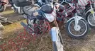 ITALIKA FT125 2022, foto 3 de 19