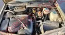 VOLKSWAGEN POINTER 2001, foto 10 de 19