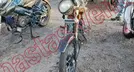 ITALIKA FT150 2024, foto 2 de 19