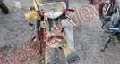 ITALIKA FT150 2024, foto 6 de 19