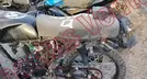 ITALIKA FT150 2024, foto 16 de 19