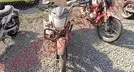 ITALIKA FT125 2023, foto 2 de 19