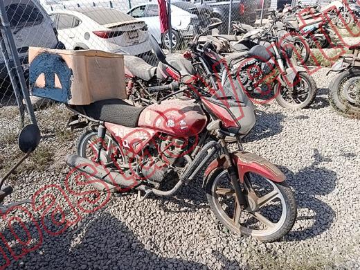 ITALIKA FT125 2023, foto 4 de 19