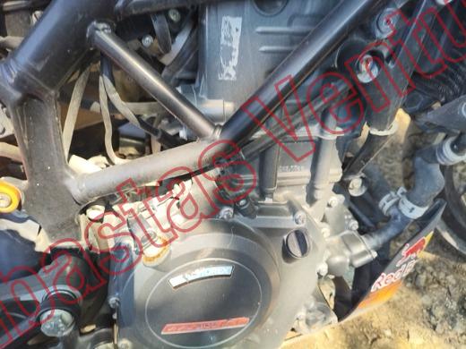 KTM DUKE 2025, foto 11 de 19