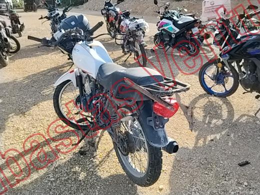 VENTO XPRESS 2022, foto 7 de 19