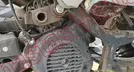 ITALIKA WS150 2024, foto 11 de 19