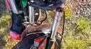 ITALIKA 125Z 2025, foto 18 de 19