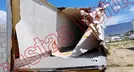 GREAT DANE CAJA 2015, foto 10 de 19
