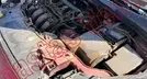 FORD FOCUS 2016, foto 9 de 19