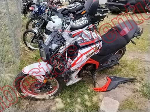 VENTO FALKON 2025, foto 1 de 19