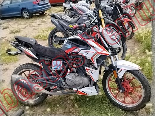 VENTO FALKON 2025, foto 3 de 19