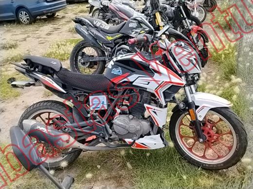 VENTO FALKON 2025, foto 4 de 19