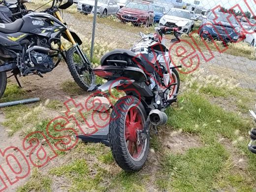 VENTO FALKON 2025, foto 5 de 19