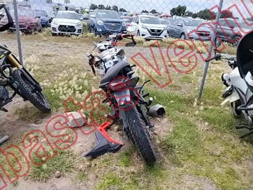 VENTO FALKON 2025, foto 6 de 19
