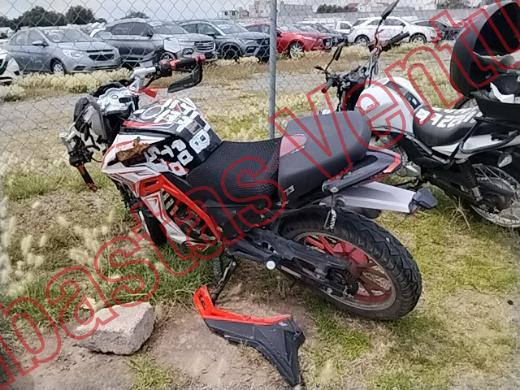 VENTO FALKON 2025, foto 7 de 19