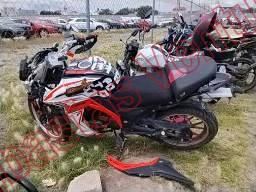 VENTO FALKON 2025, foto 8 de 19