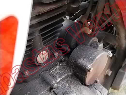 VENTO FALKON 2025, foto 10 de 19