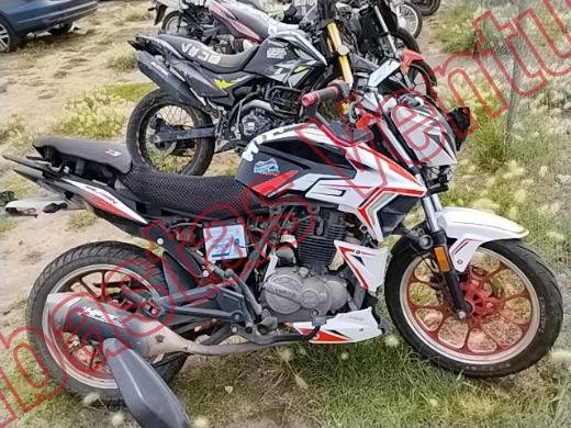 VENTO FALKON 2025, foto 12 de 19