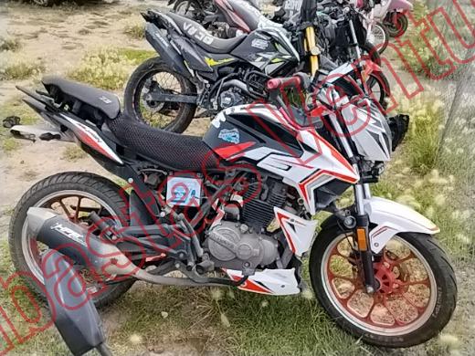 VENTO FALKON 2025, foto 13 de 19