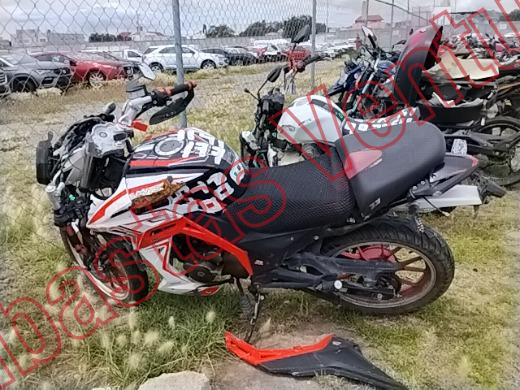 VENTO FALKON 2025, foto 15 de 19