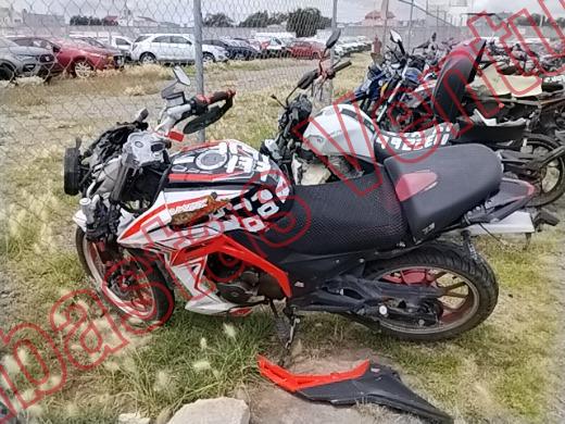 VENTO FALKON 2025, foto 16 de 19