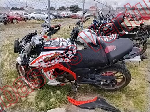 VENTO FALKON 2025, foto 17 de 19