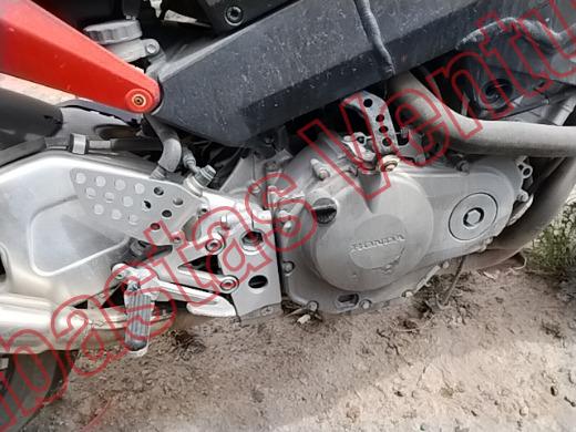 HONDA CBR 2003, foto 11 de 19