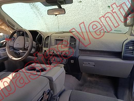 FORD F-150 2020, foto 14 de 19