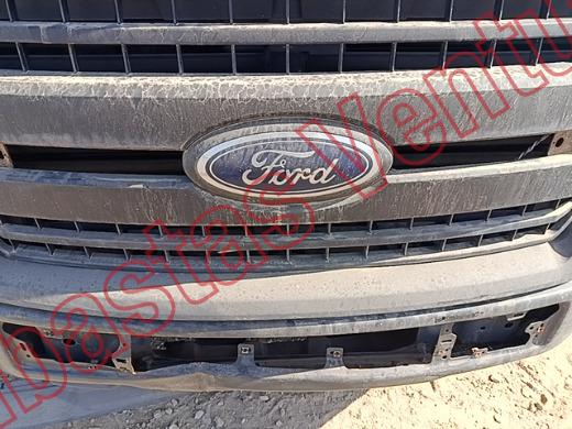 FORD F-150 2020, foto 18 de 19