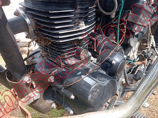 ITALIKA FT125 2023, foto 10 de 19