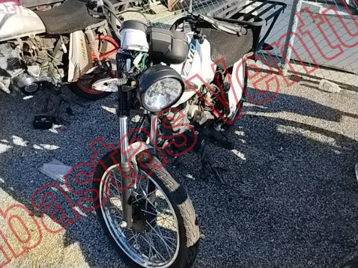 VENTO WORKMAN 2023, foto 1 de 19