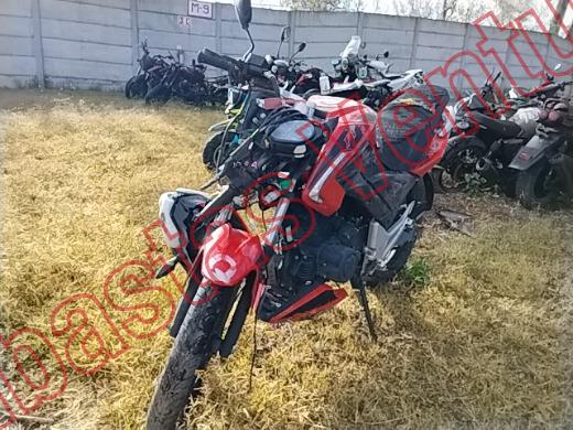 ITALIKA FT250 2023, foto 1 de 19