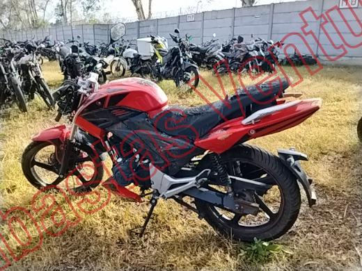 ITALIKA FT250 2023, foto 8 de 19