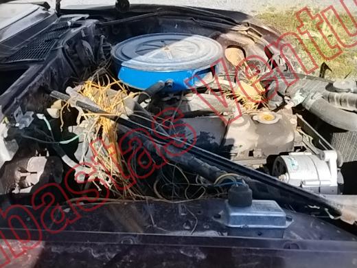 DODGE DART 1981, foto 11 de 19