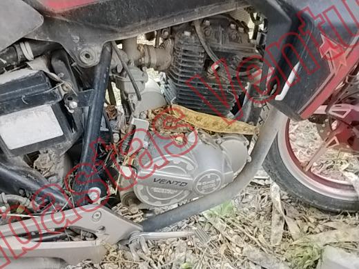VENTO TORNADO 2022, foto 11 de 19