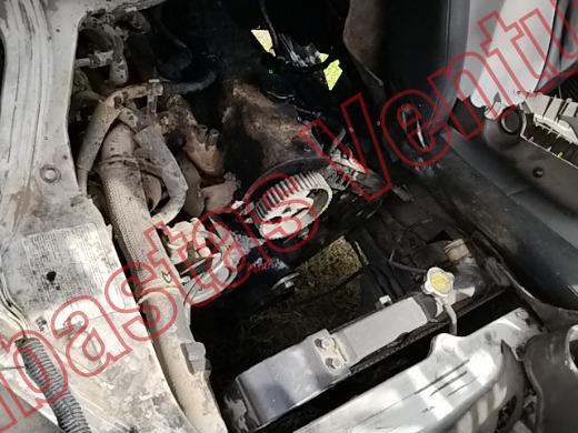 DODGE H100 2009, foto 10 de 19