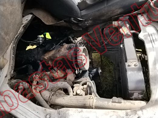 DODGE H100 2009, foto 11 de 19