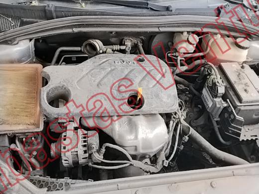 MG 5 2023, foto 10 de 19