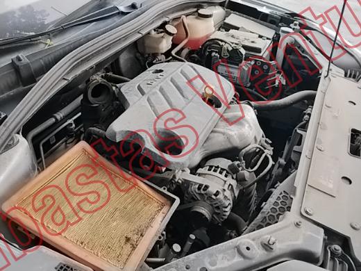 MG 5 2023, foto 11 de 19