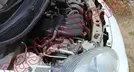 NISSAN MARCH 2018, foto 11 de 19
