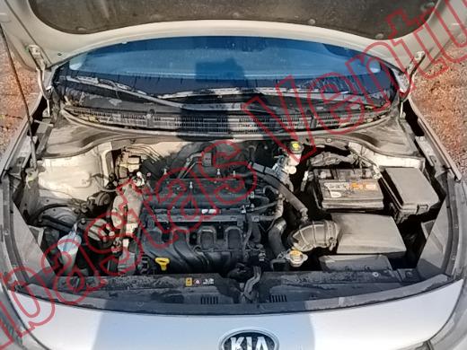 KIA NEW KIA RIO 2019, foto 10 de 19