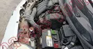 NISSAN MARCH 2018, foto 9 de 19
