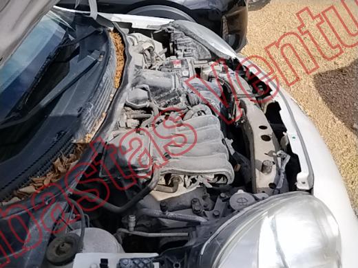 NISSAN MARCH 2020, foto 11 de 19